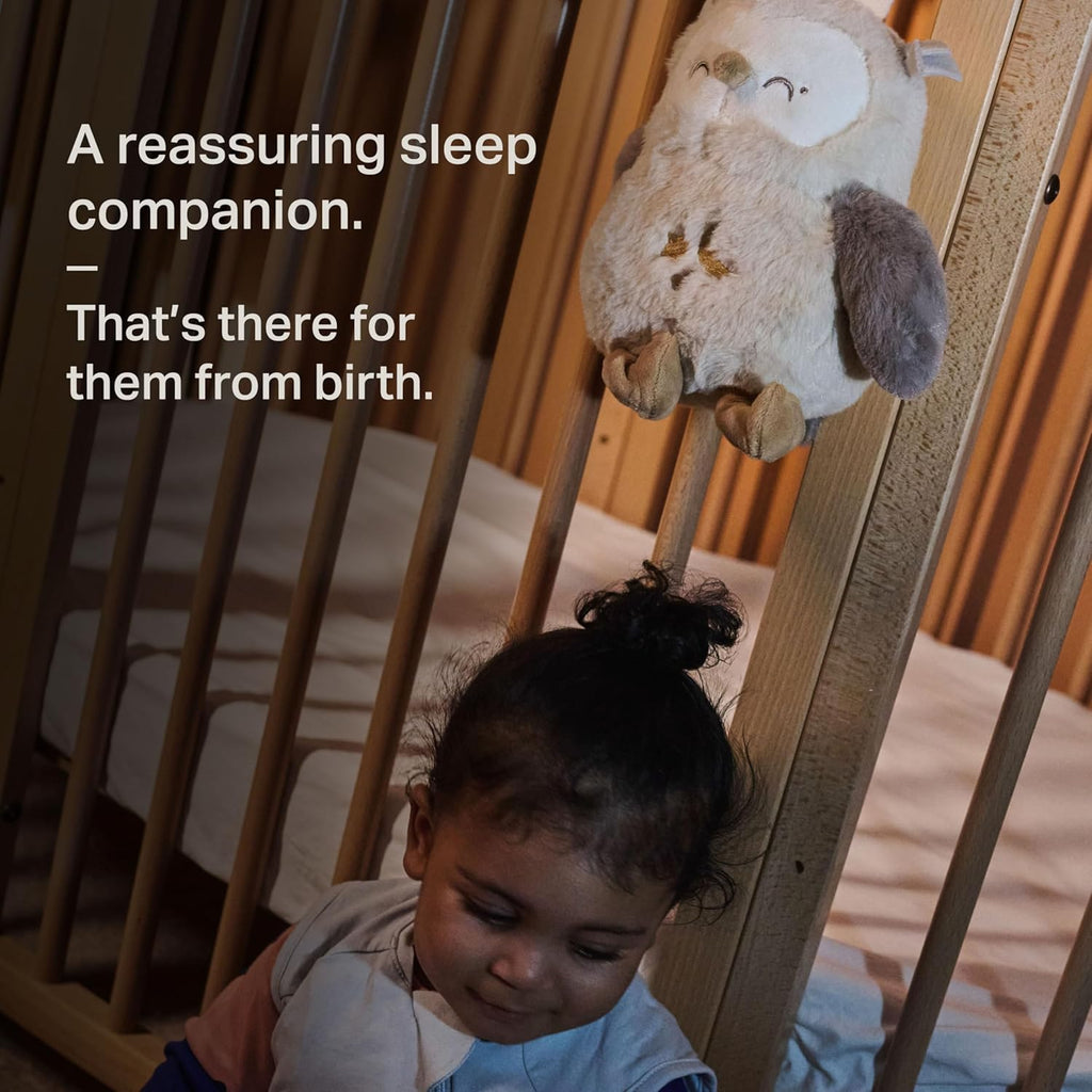 Tommee tippee mollie the owl deluxe sleep aid light and sounds